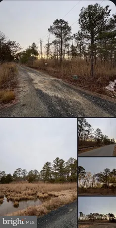 $68,000 | 0 Clara Road, Tyaskin, MD 21865