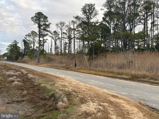 a view of a floor to a fireplace