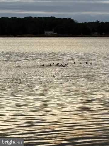 $79,000 | 0 Clara Road, Tyaskin, MD 21865