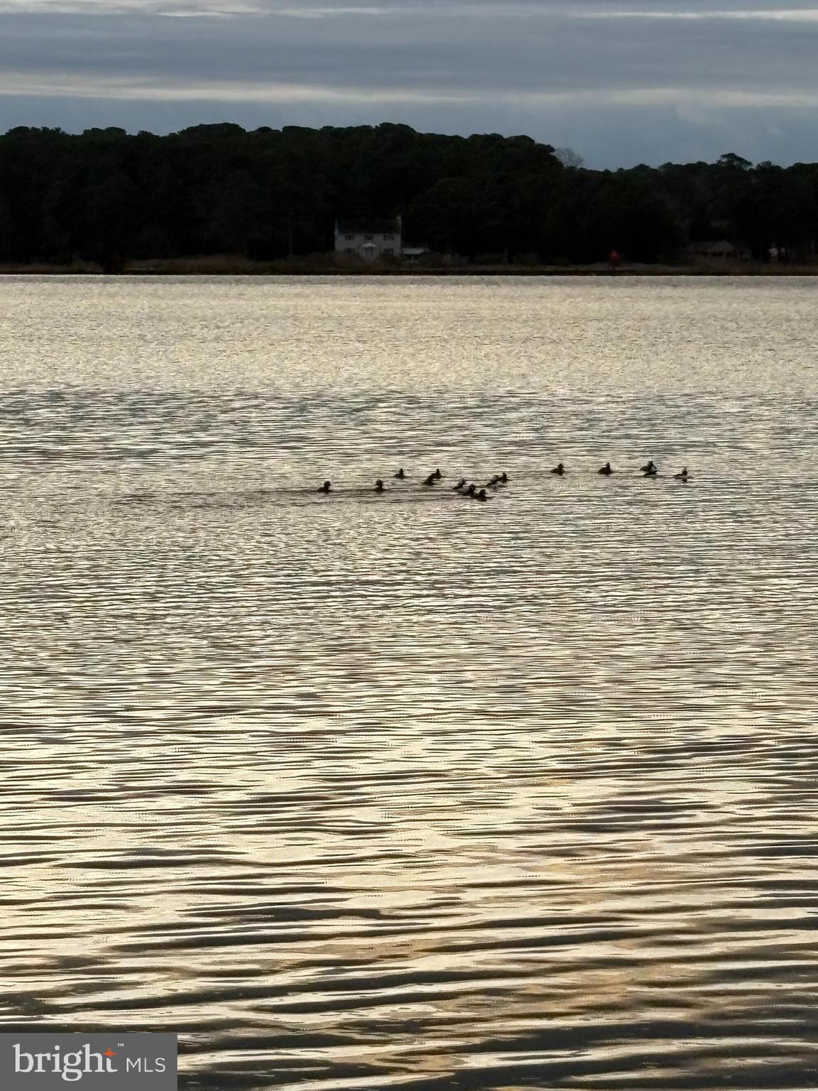 0 Clara Road Tyaskin, MD 21865 - Photo 4 of 6 a view of a lake view