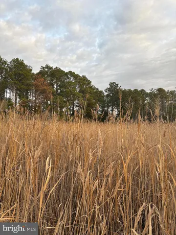 $79,000 | 0 Clara Road, Tyaskin, MD 21865