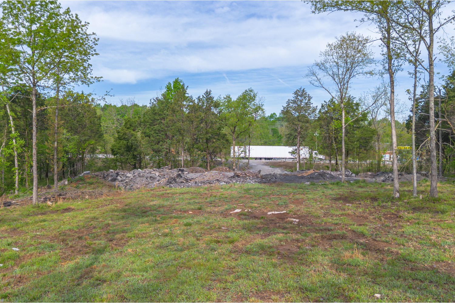 a view of a park with large trees
