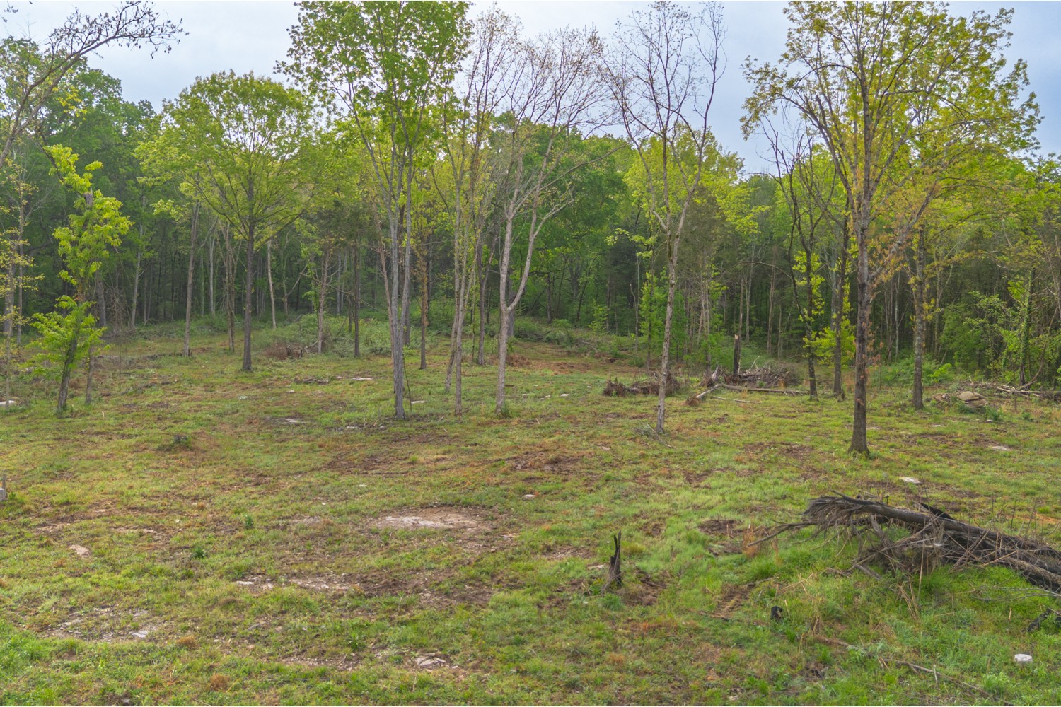 6205 Hunters Point Pike Lebanon, TN 37087 - Photo 13 of 45 a view of outdoor space with green space