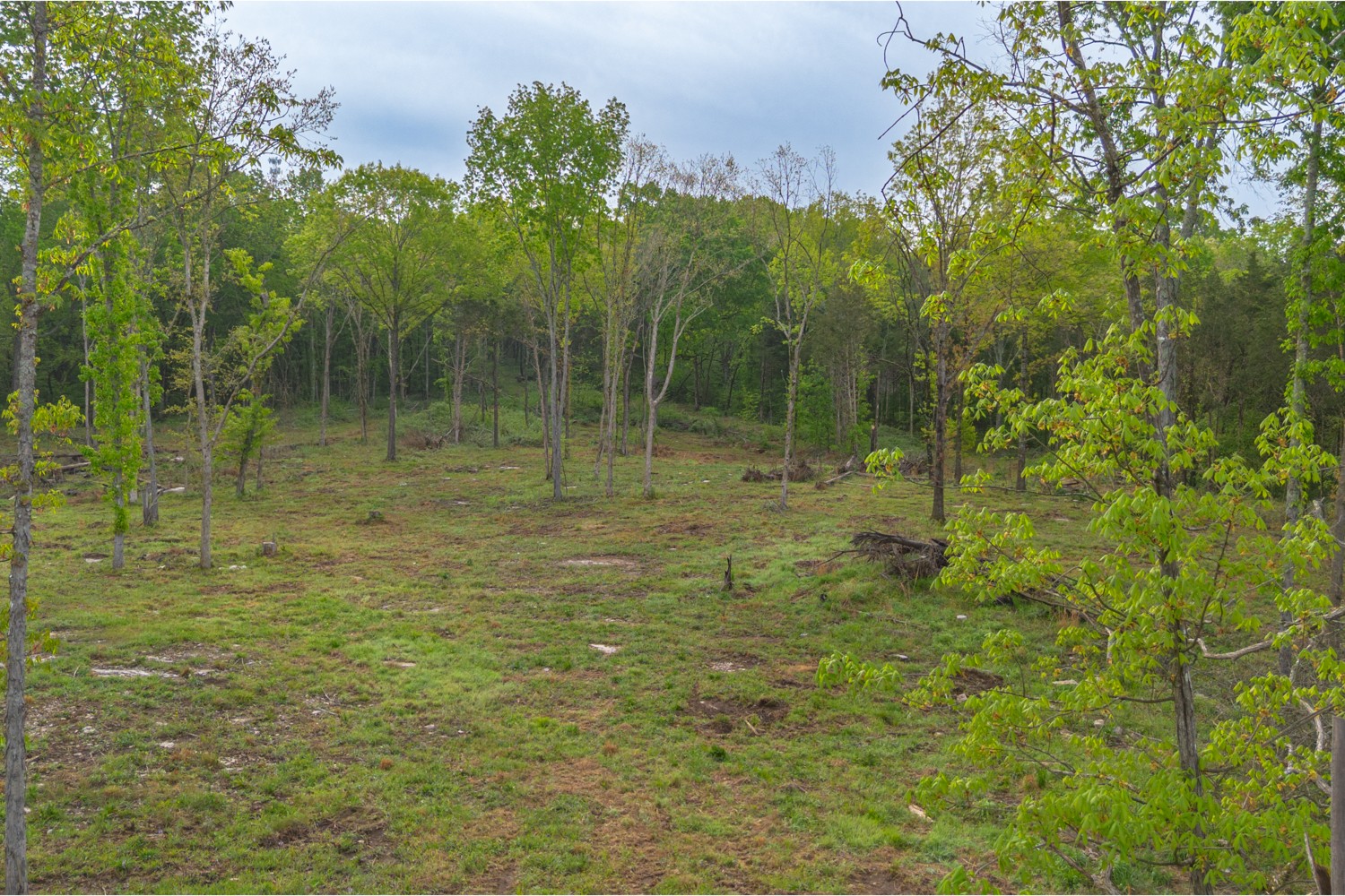 6205 Hunters Point Pike Lebanon, TN 37087 - Photo 14 of 45 a view of outdoor space with a garden