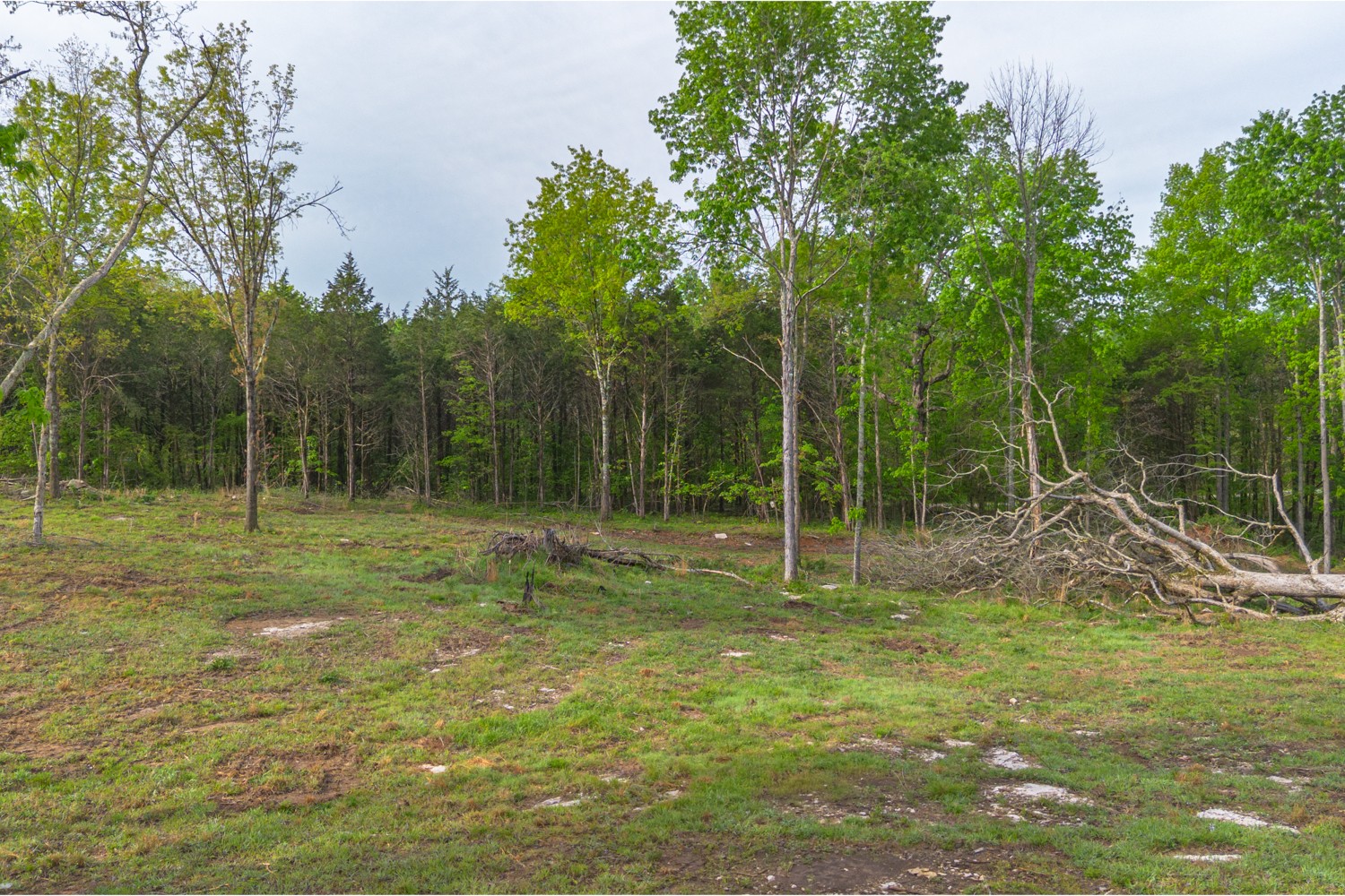 6205 Hunters Point Pike Lebanon, TN 37087 - Photo 15 of 45 a view of outdoor space with trees all around
