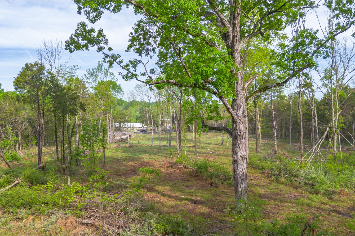 6205 Hunters Point Pike Lebanon, TN 37087 - Photo 16 of 45 a backyard of a house with lots of plants and large trees