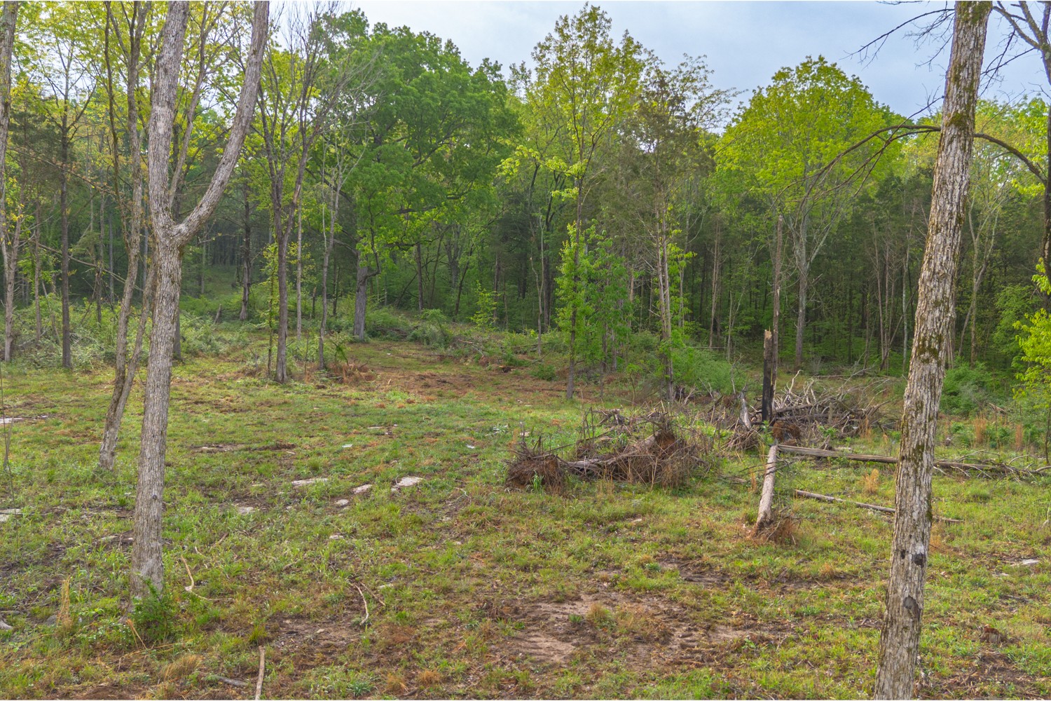 6205 Hunters Point Pike Lebanon, TN 37087 - Photo 17 of 45 a view of a garden