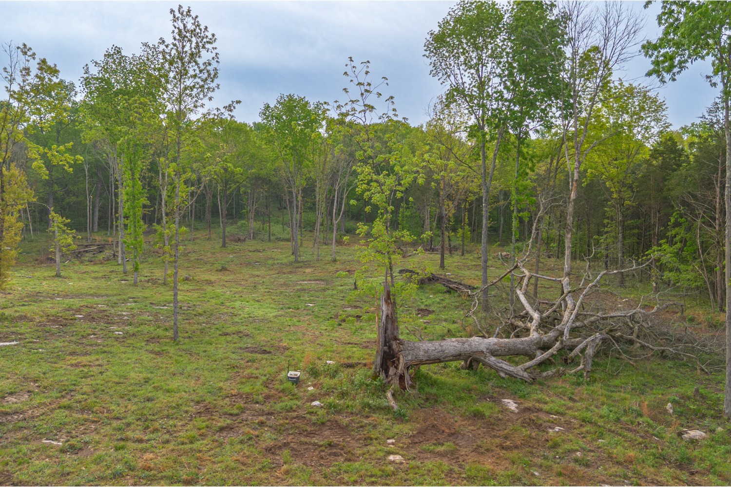 6205 Hunters Point Pike Lebanon, TN 37087 - Photo 18 of 45 a view of a yard