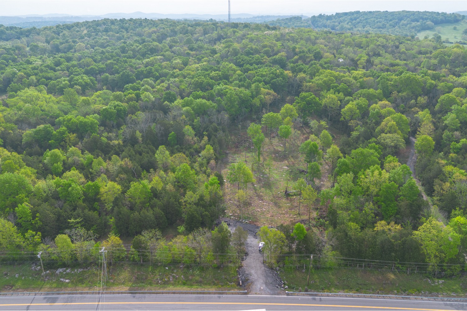 6205 Hunters Point Pike Lebanon, TN 37087 - Photo 19 of 45 a view of a forest from a yard