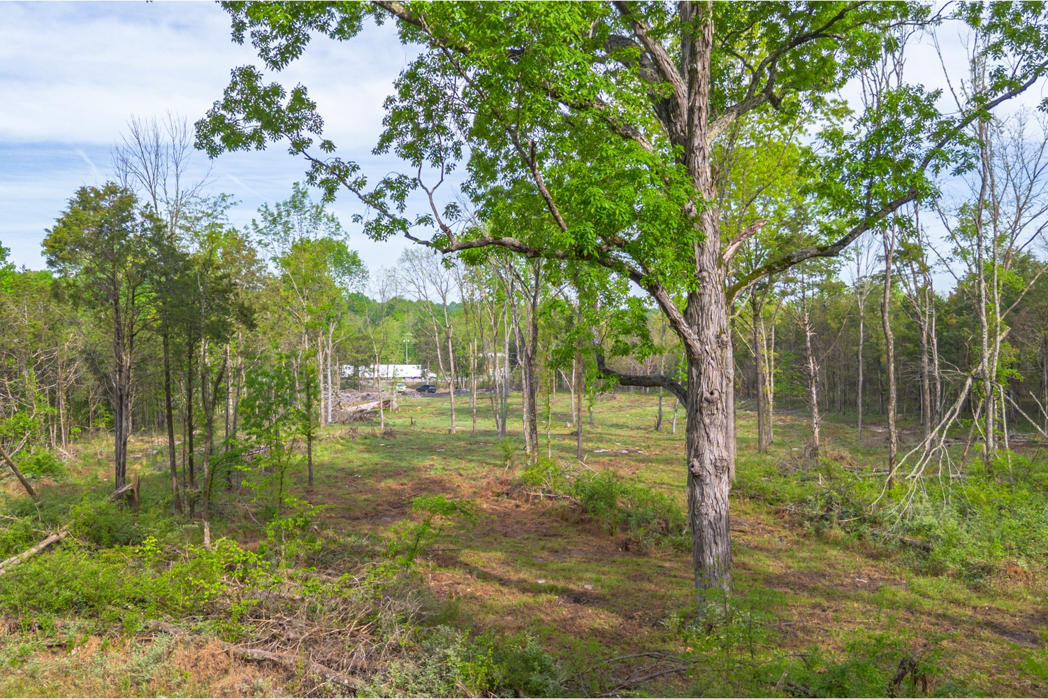 6205 Hunters Point Pike Lebanon, TN 37087 - Photo 21 of 45 a view of a trees in a yard