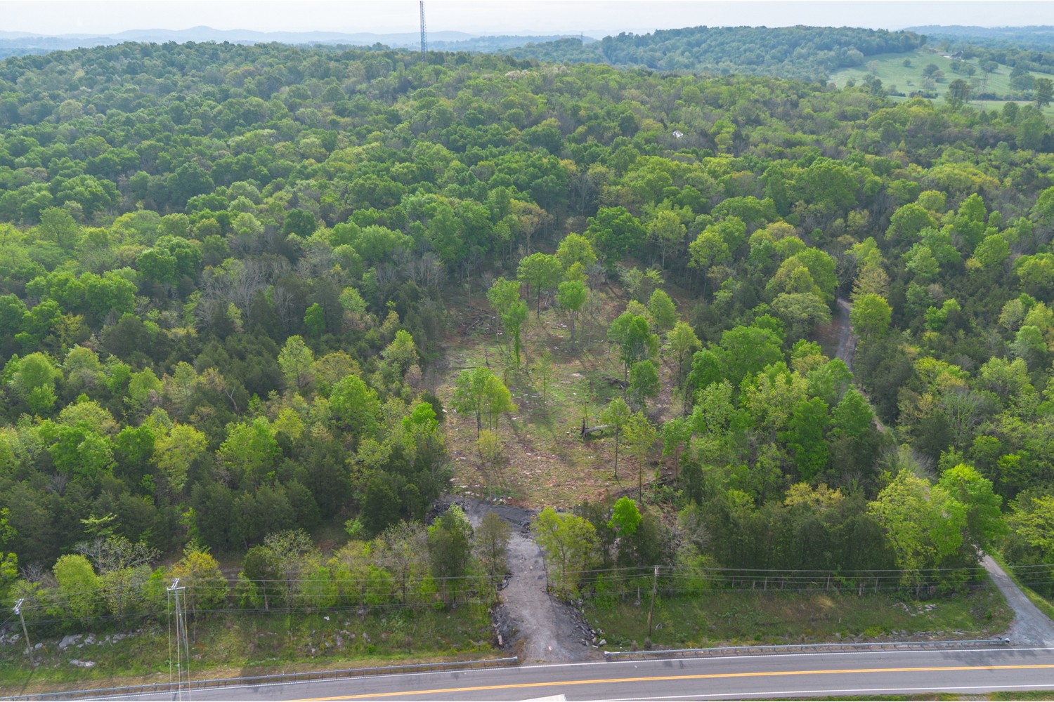 6205 Hunters Point Pike Lebanon, TN 37087 - Photo 23 of 45 a view of a forest from a yard