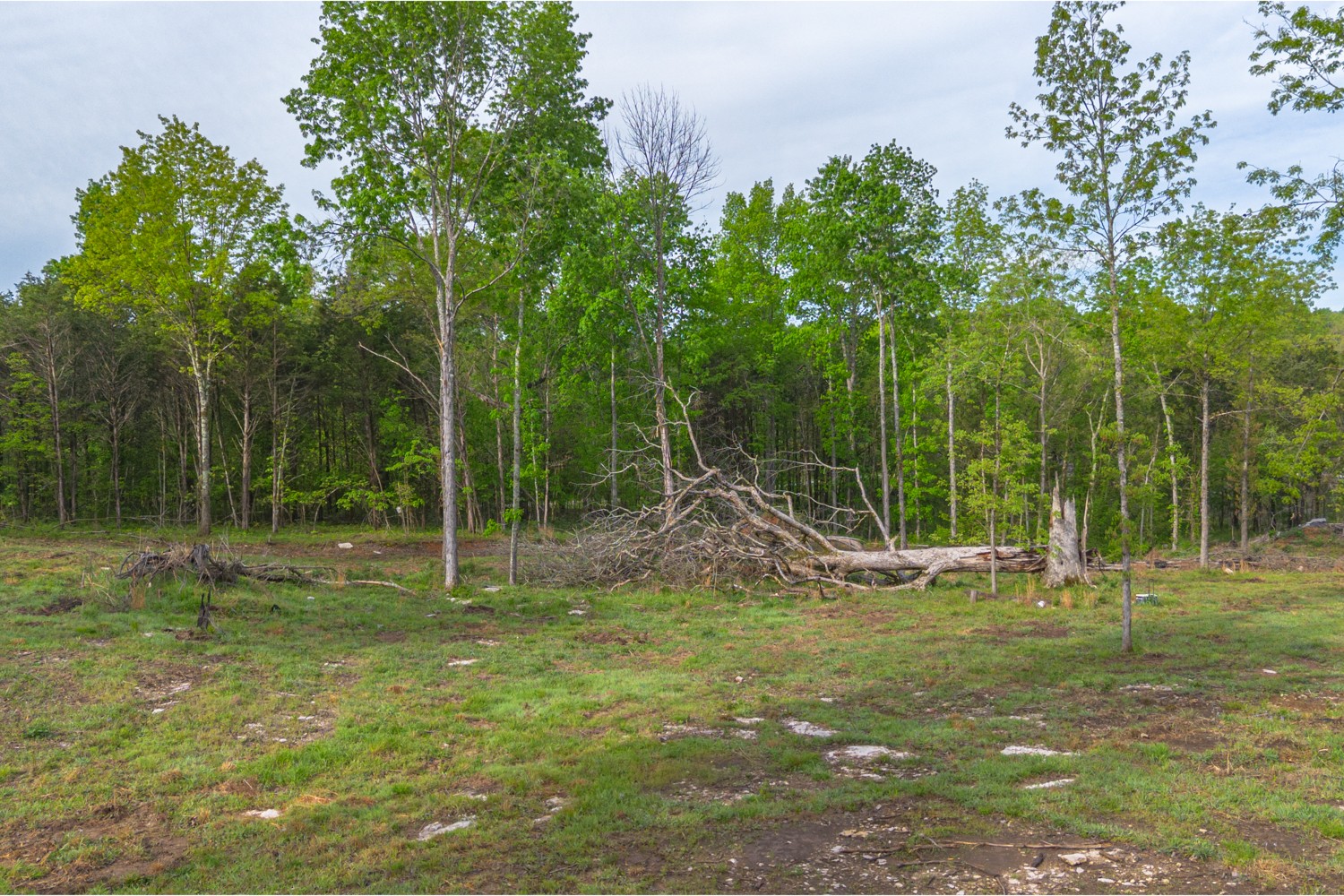 6205 Hunters Point Pike Lebanon, TN 37087 - Photo 27 of 45 a backyard of a house with lots of green space