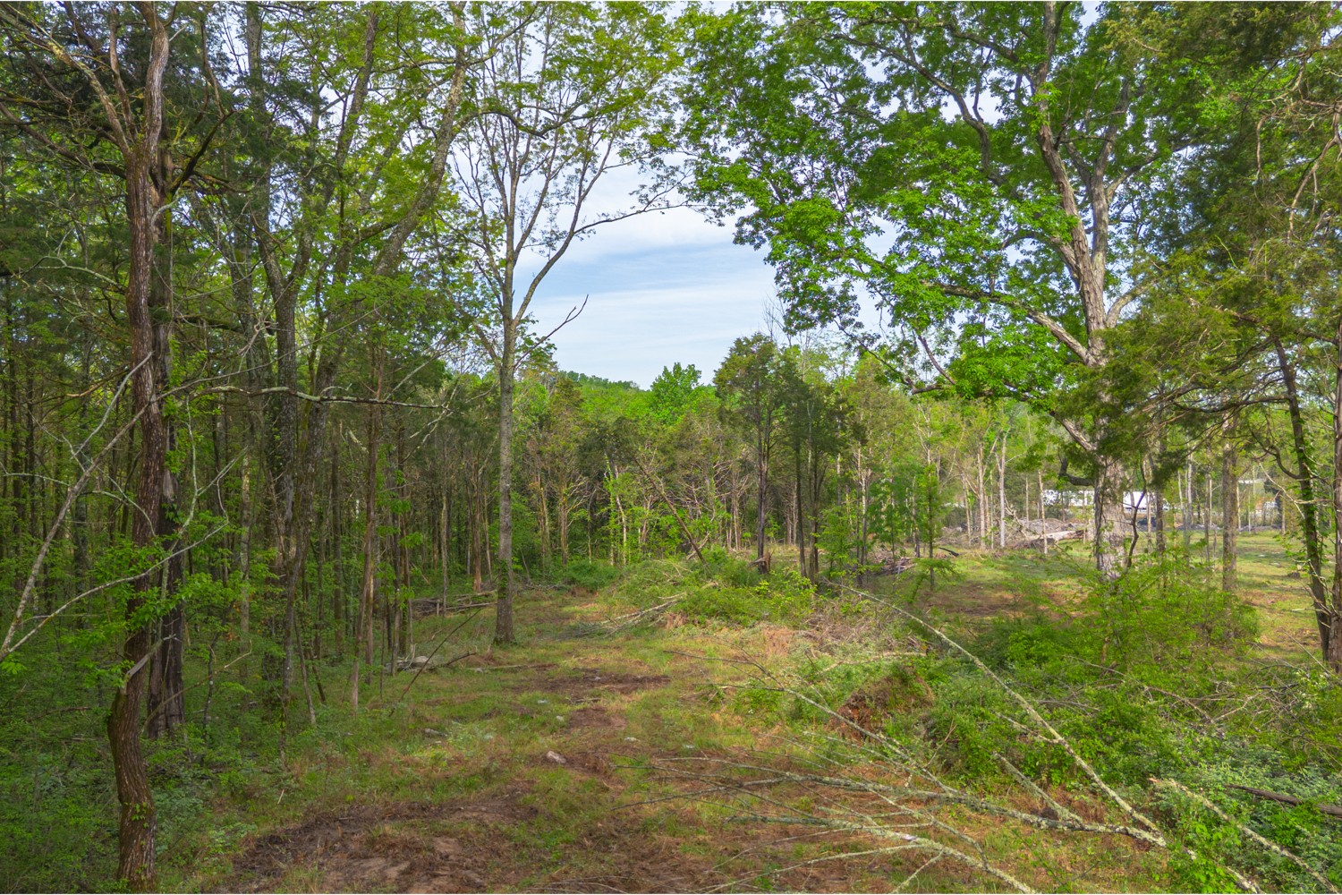 6205 Hunters Point Pike Lebanon, TN 37087 - Photo 28 of 45 a view of a park