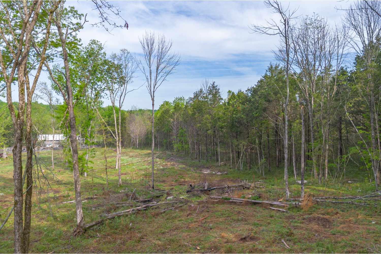 6205 Hunters Point Pike Lebanon, TN 37087 - Photo 29 of 45 a backyard of a house with lots of green space