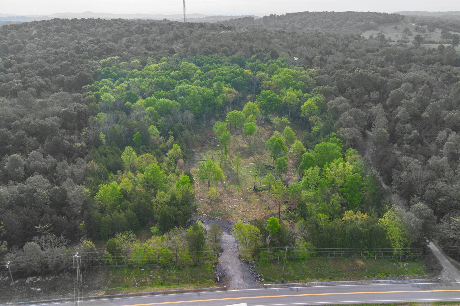 6205 Hunters Point Pike Lebanon, TN 37087 - Photo 30 of 45 a view of a yard