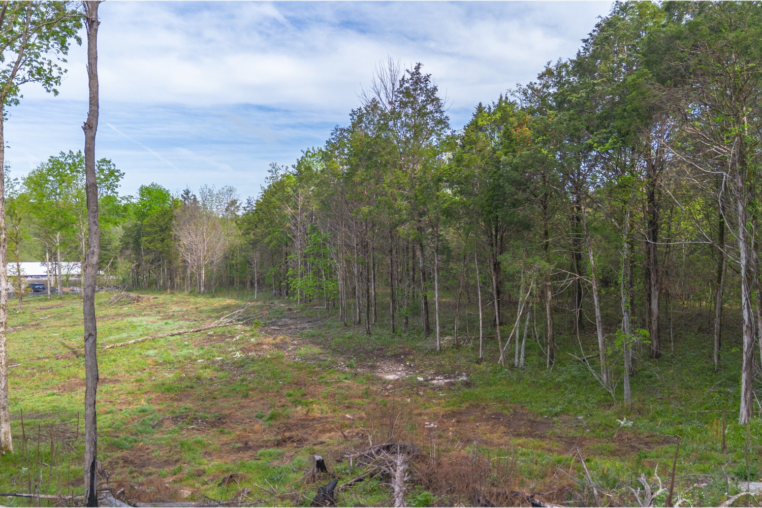 6205 Hunters Point Pike Lebanon, TN 37087 - Photo 3 of 45 a view of a backyard