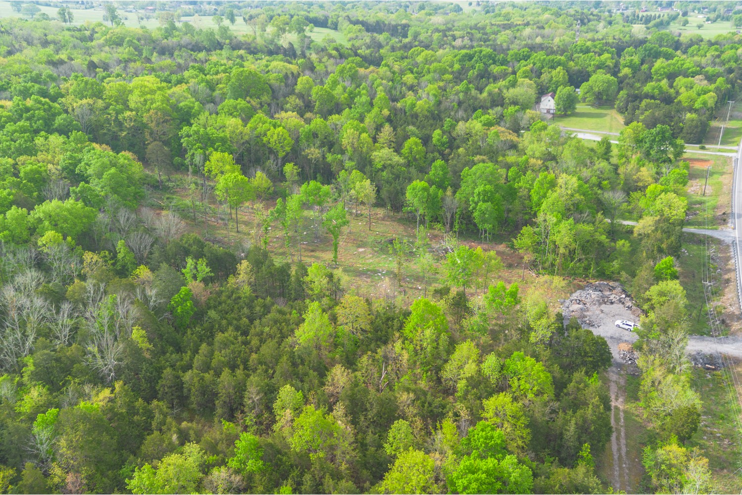 6205 Hunters Point Pike Lebanon, TN 37087 - Photo 36 of 45 a view of a yard