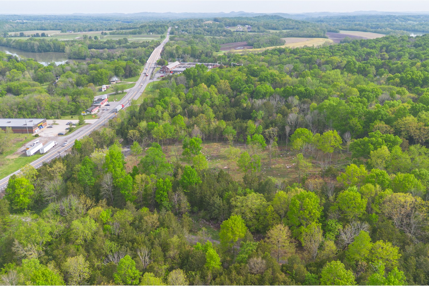 6205 Hunters Point Pike Lebanon, TN 37087 - Photo 37 of 45 a view of a lush green forest with lush green forest