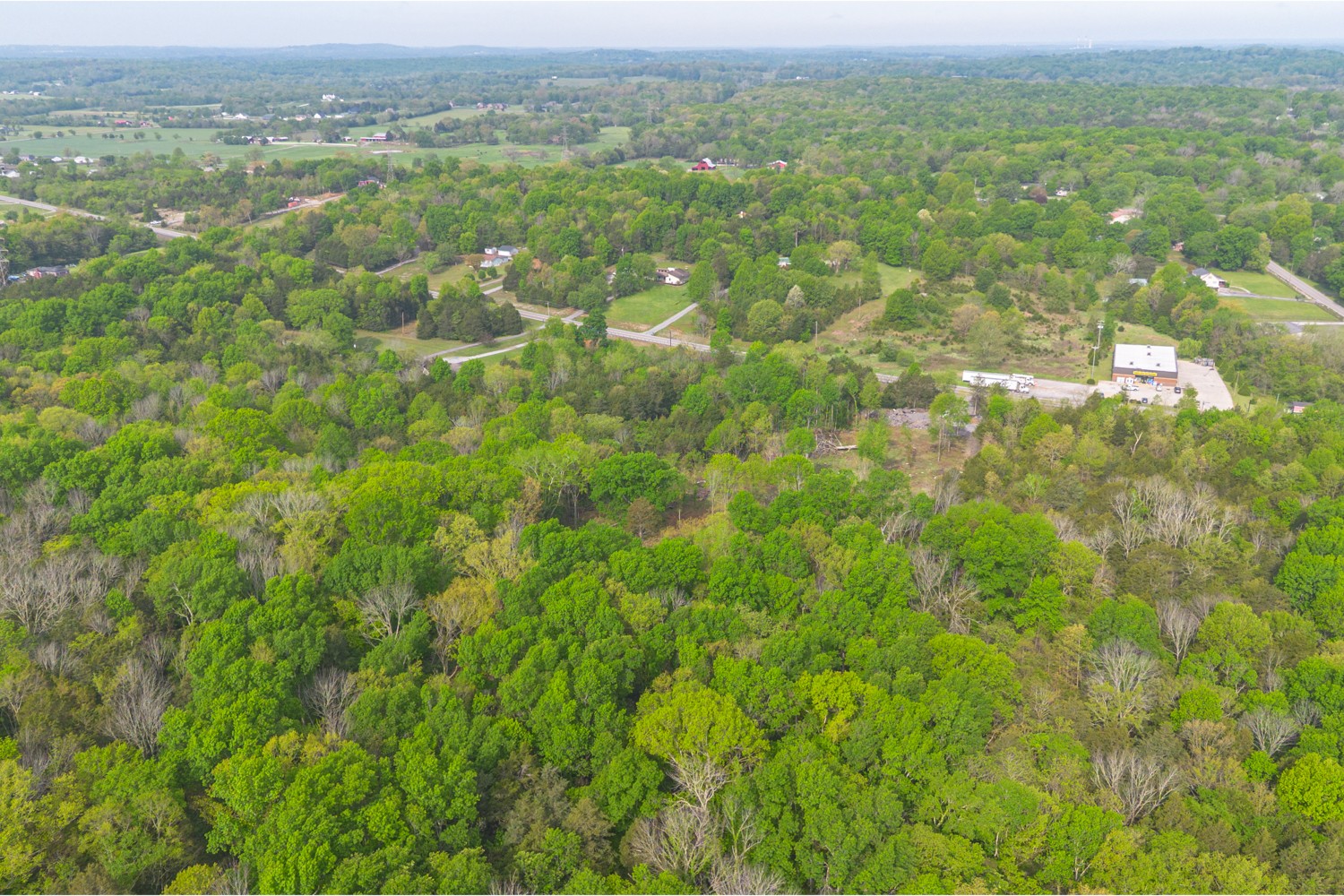 6205 Hunters Point Pike Lebanon, TN 37087 - Photo 39 of 45 a view of a field with a lush green forest