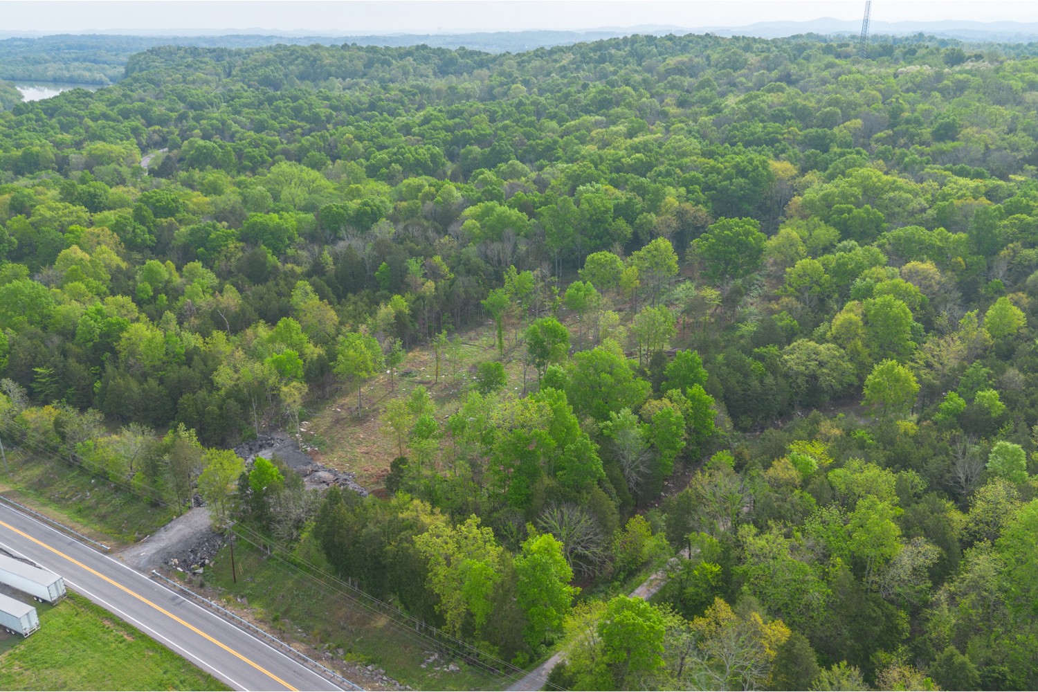 6205 Hunters Point Pike Lebanon, TN 37087 - Photo 40 of 45 a view of a forest from a window