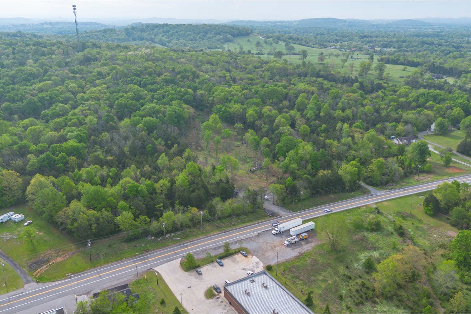 6205 Hunters Point Pike Lebanon, TN 37087 - Photo 43 of 45 a view of a yard with a tree