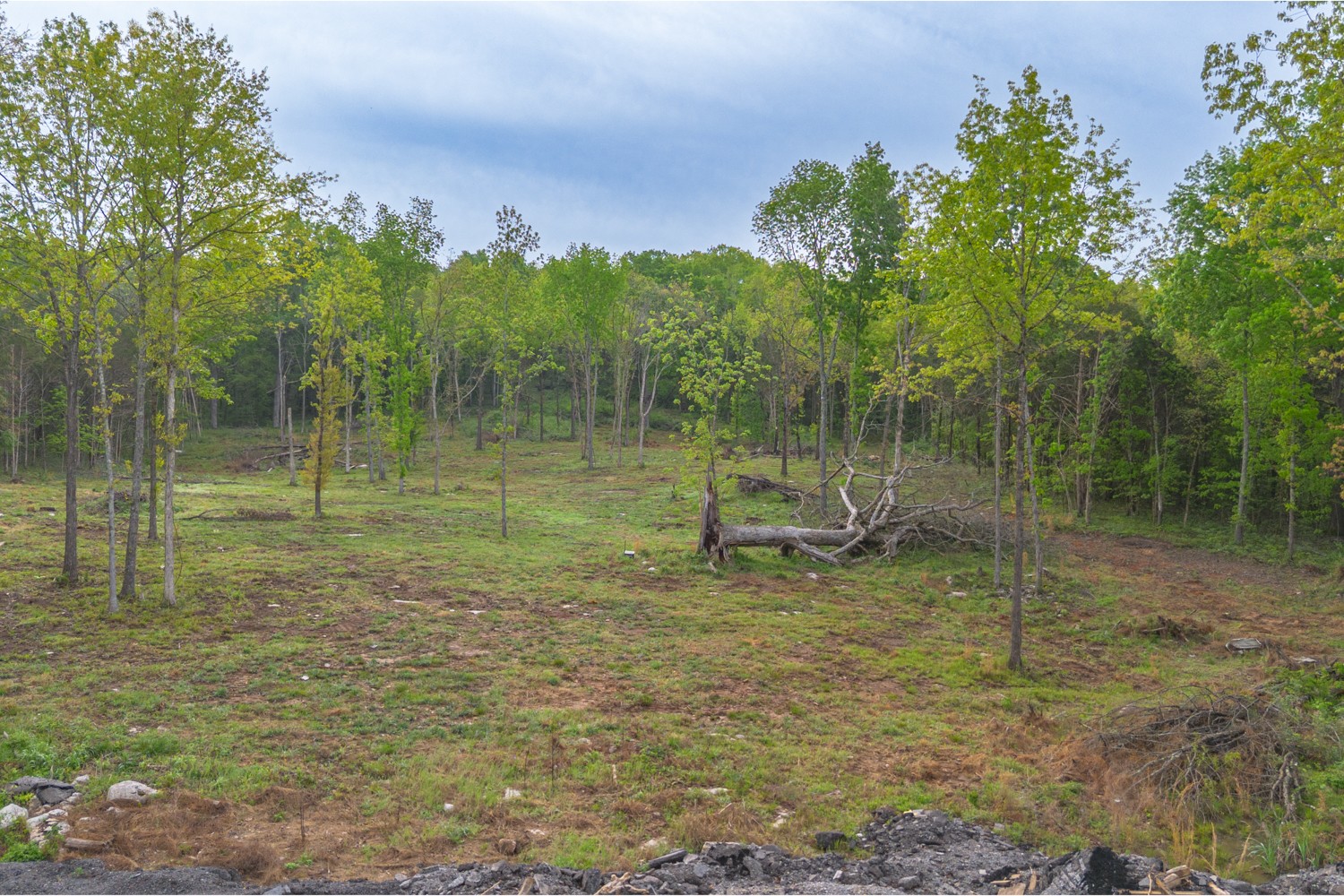 6205 Hunters Point Pike Lebanon, TN 37087 - Photo 8 of 45 a view of a park