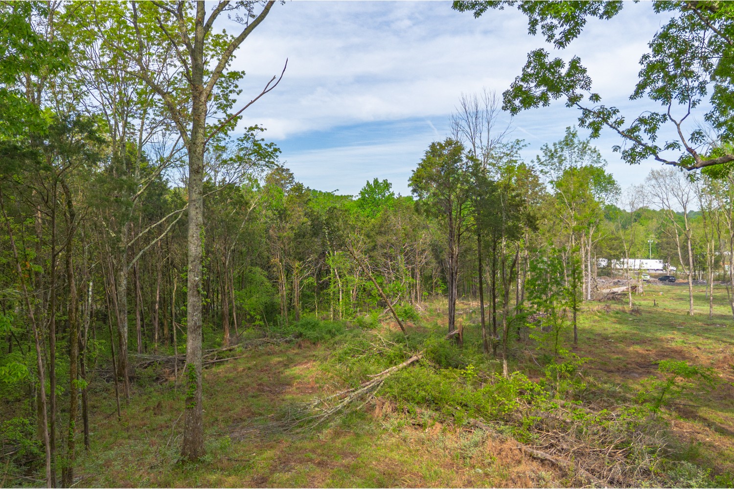 6205 Hunters Point Pike Lebanon, TN 37087 - Photo 9 of 45 a view of an outdoor space