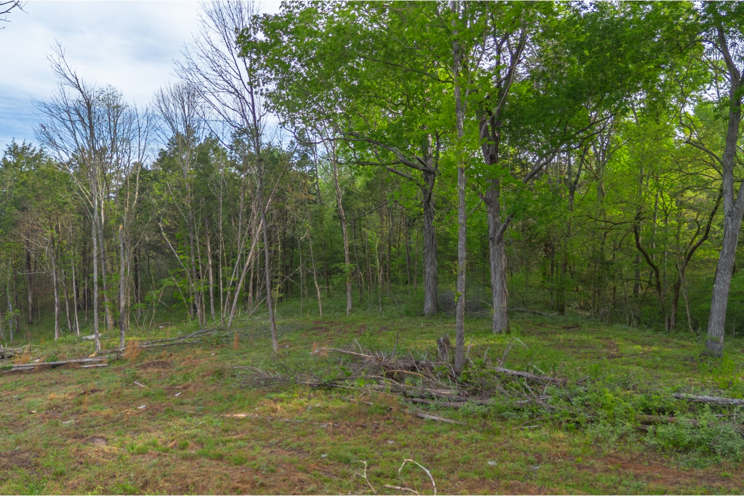 6205 Hunters Point Pike Lebanon, TN 37087 - Photo 10 of 45 a view of a park