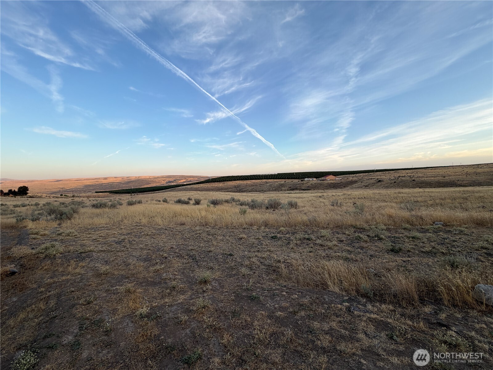 0 Conrad Road Selah, WA 98942 - Photo 6 of 8 Gallery Image 6