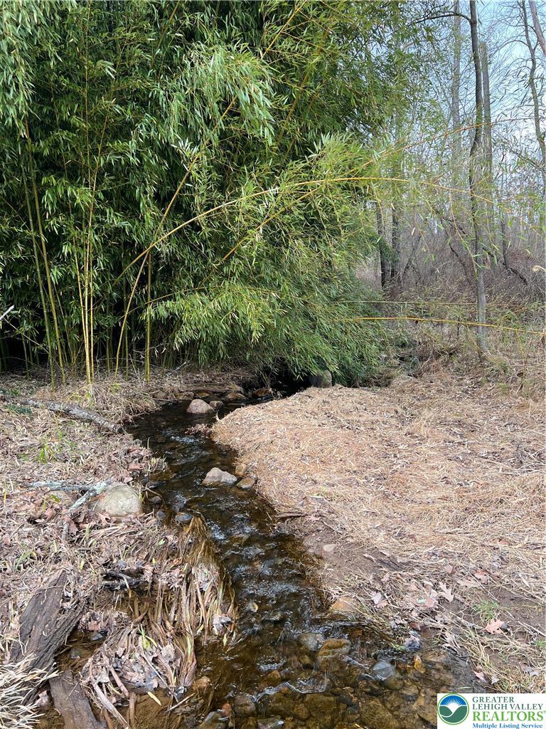 a view of a dry yard with trees