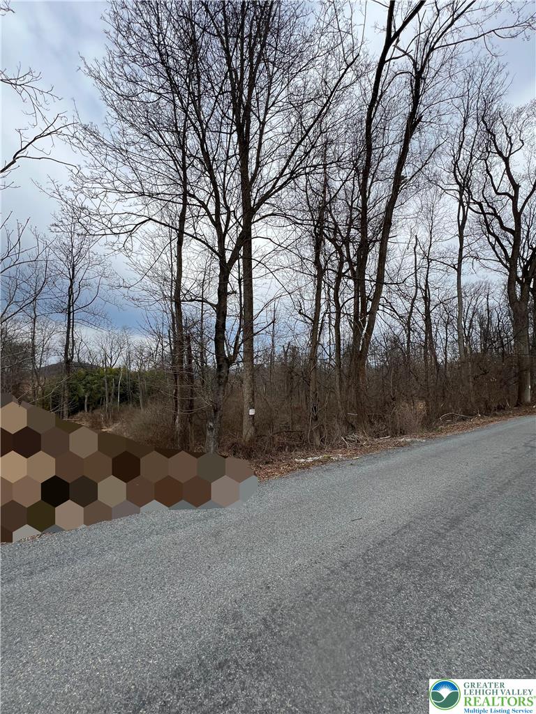 1598 Hafler Road Bethlehem, PA 18015 - Photo 2 of 10