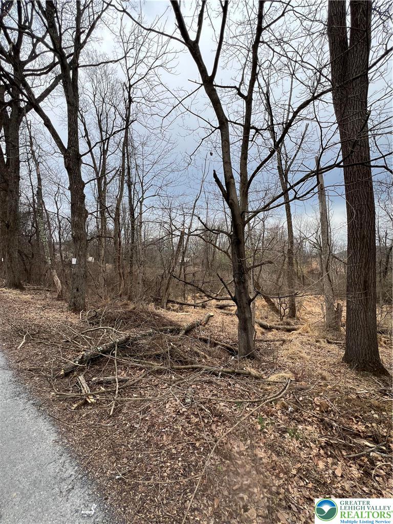 1598 Hafler Road Bethlehem, PA 18015 - Photo 3 of 10 a backyard of a house with lots of green space