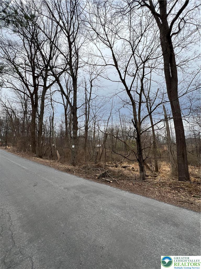 1598 Hafler Road Bethlehem, PA 18015 - Photo 4 of 10 a view of a field with trees in the background
