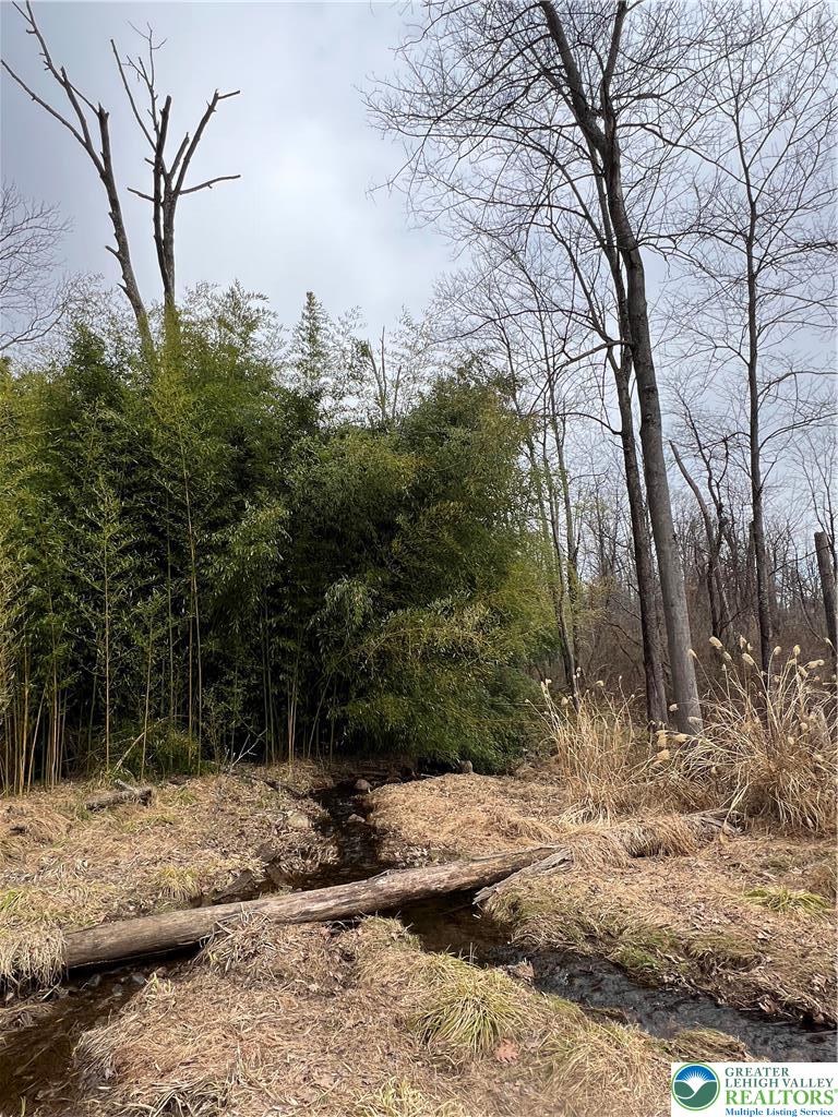 1598 Hafler Road Bethlehem, PA 18015 - Photo 6 of 10 a backyard of a house with lots of green space