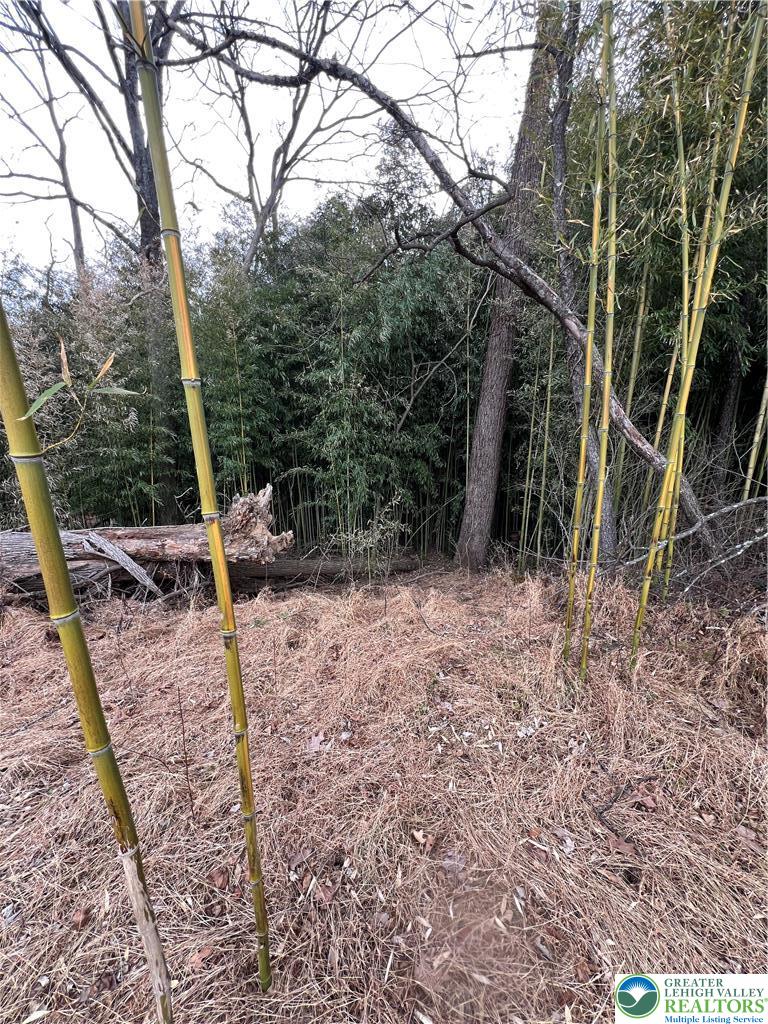 1598 Hafler Road Bethlehem, PA 18015 - Photo 7 of 10 a view of swing with a tree
