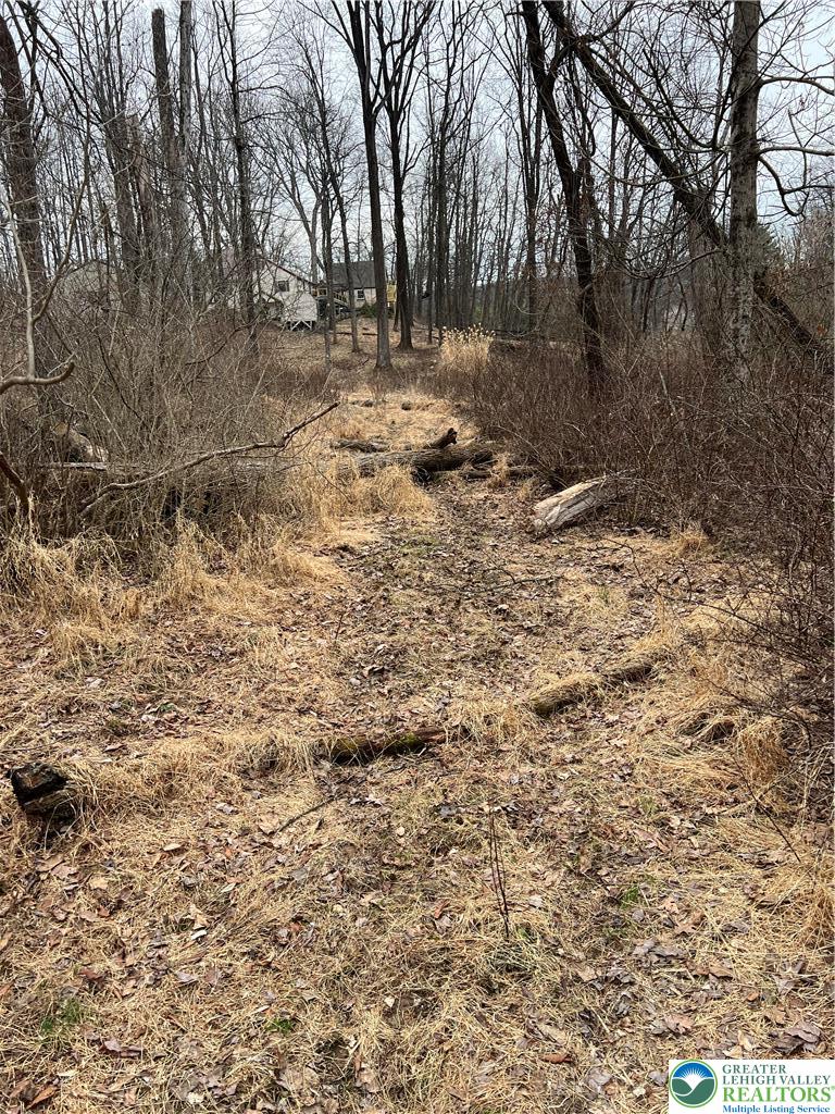 1598 Hafler Road Bethlehem, PA 18015 - Photo 8 of 10 a view of covered with snow