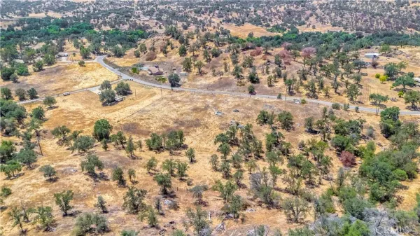 a view of lot of trees