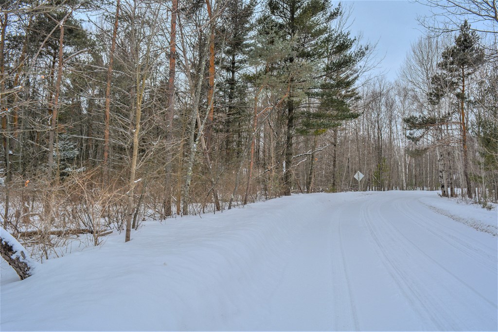 Lot 2 Daisy Patch Road Fish Creek, WI 54212 - Photo 8 of 14