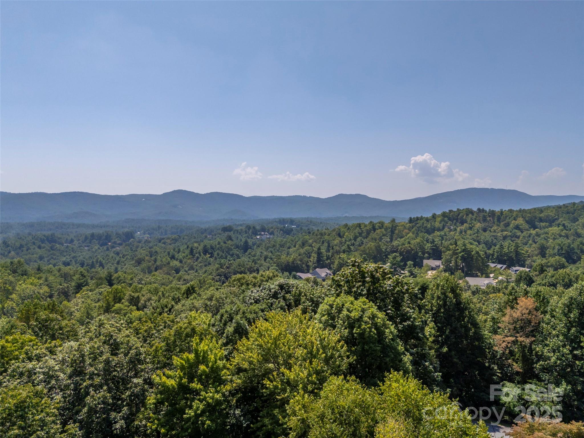 117 Little Cherokee Ridge Hendersonville, NC 28739 - Photo 48 of 48 Gallery Image 48