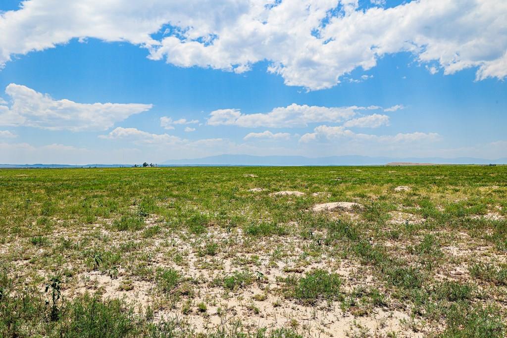 Tbd Bush Road Avondale, CO 81022 - Photo 20 of 26 Gallery Image 20