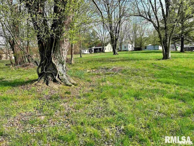 $11,000 | 0 Lewis Street, Golconda, IL 62938