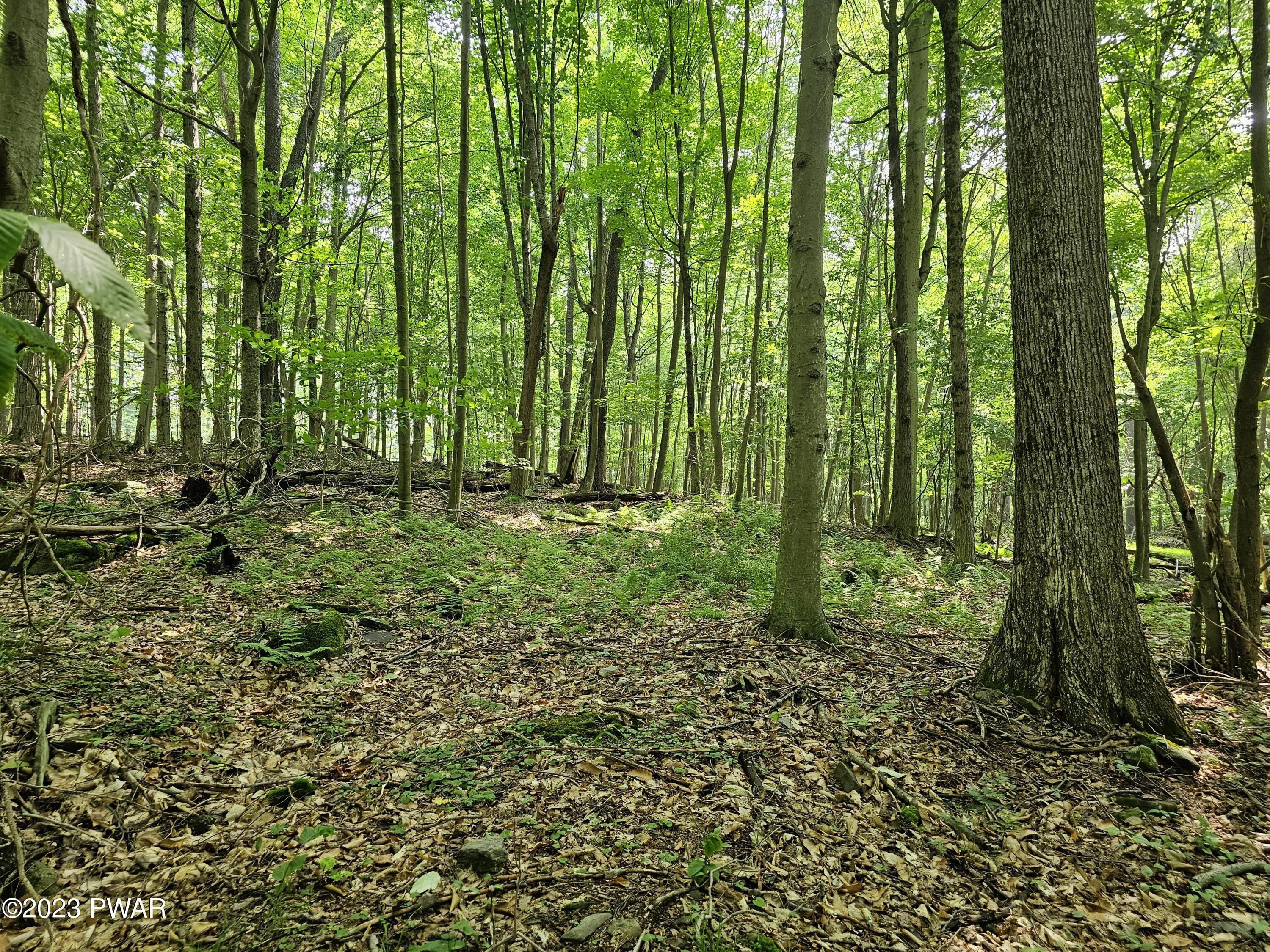 Lot 61 Rock Run Road Damascus, PA 18415 - Photo 24 of 56