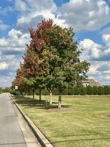 a kitchen that has a refrigerator and a stove top oven