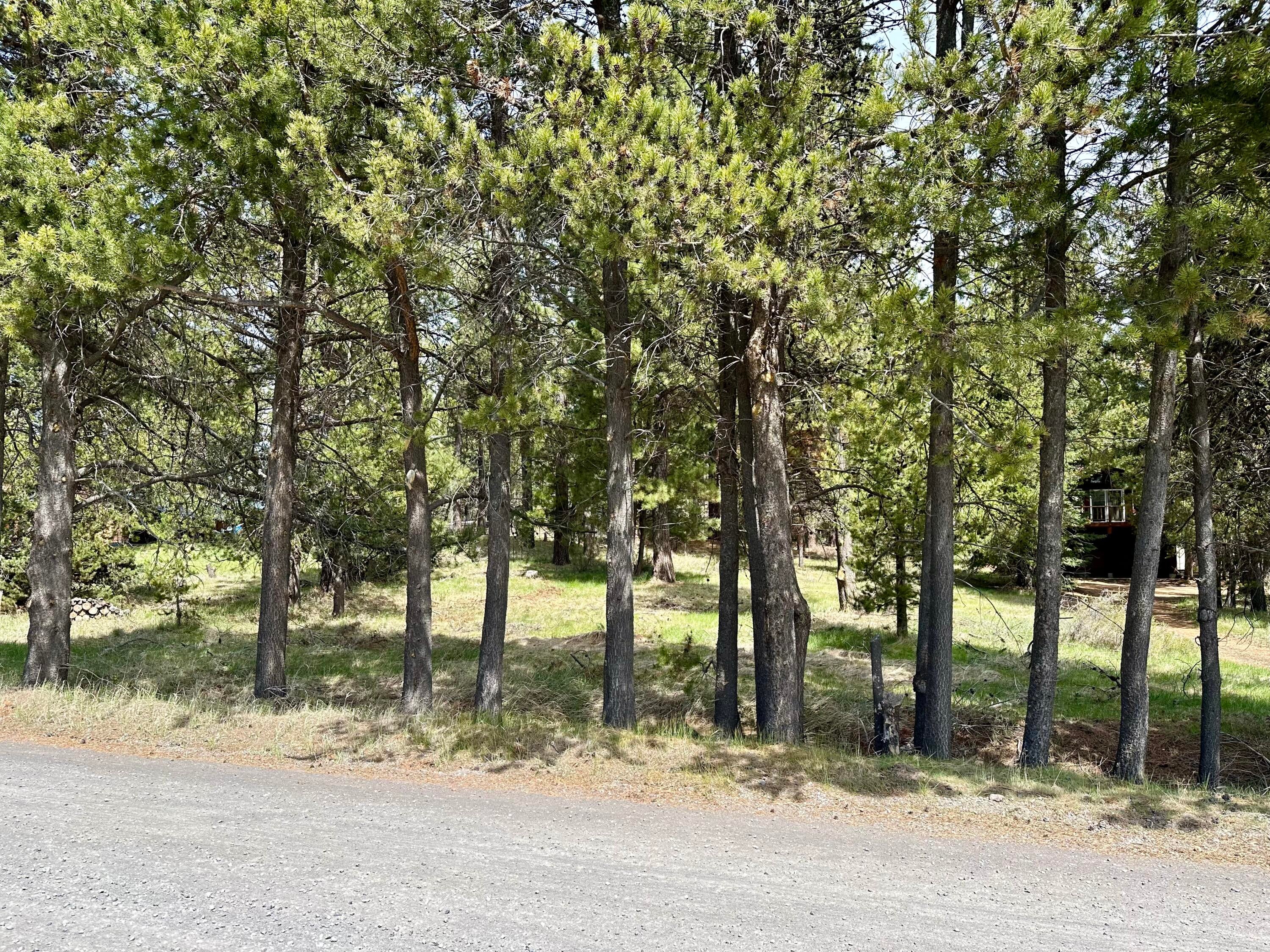 16912 Elsinore Road Bend, OR 97707 - Photo 12 of 15 IMG_0330