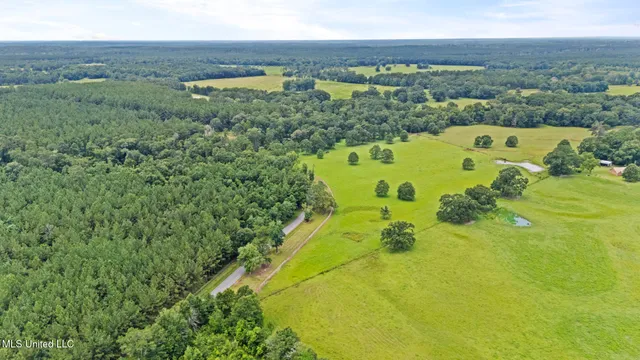 $3,250,000 | 1163 John Amacker Road, Poplarville, MS 39470