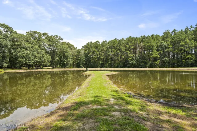 $3,250,000 | 1163 John Amacker Road, Poplarville, MS 39470