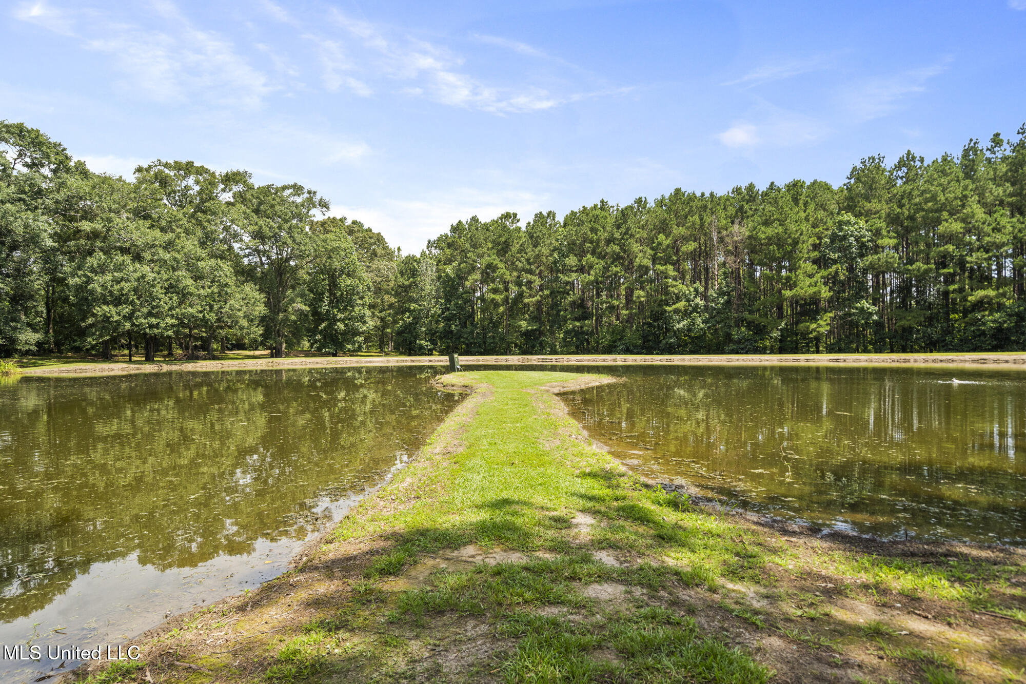 1163 John Amacker Road Poplarville, MS 39470 - Photo 70 of 88 ghubphoto_064