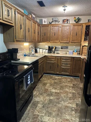 $115,000 | 280 North E L Hawks Street, Puxico, MO 63960