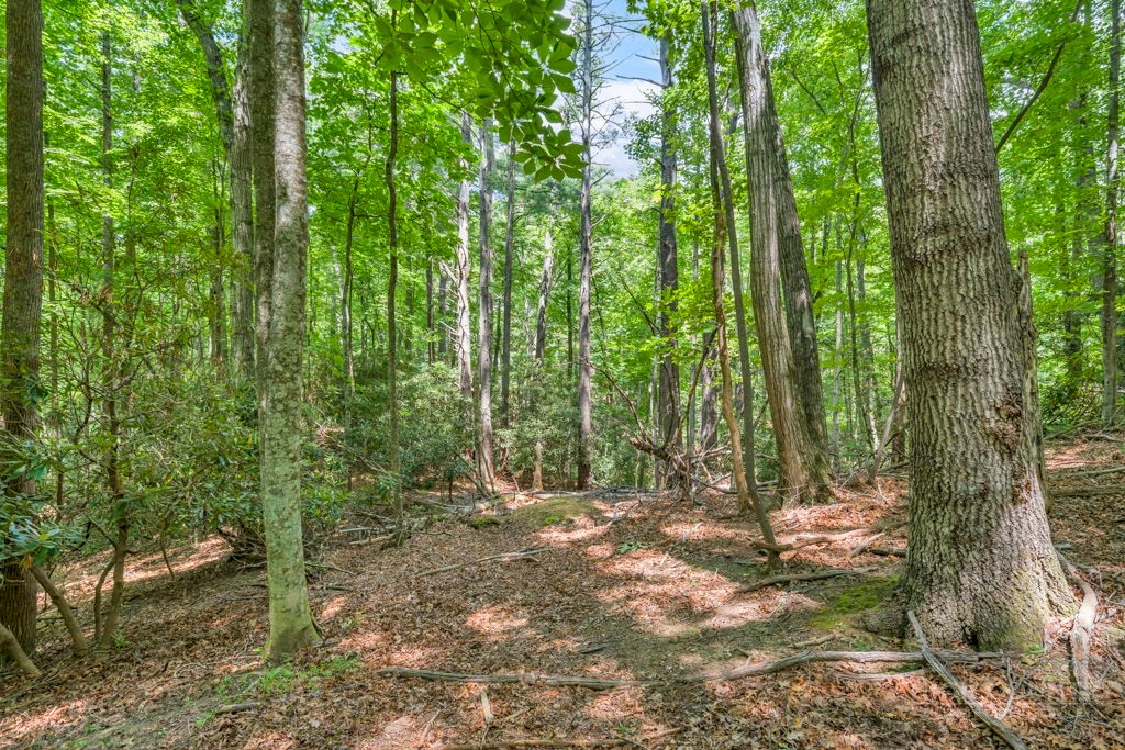 11-14 Powder Horn Mountain Road Deep Gap, NC 28618 - Photo 17 of 38