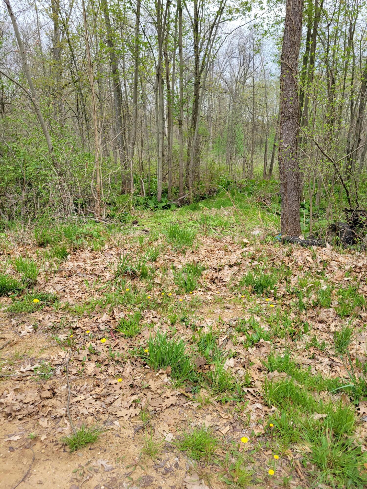 12050 Burrows Road Battle Creek, MI 49014 - Photo 19 of 23 20220511_141509